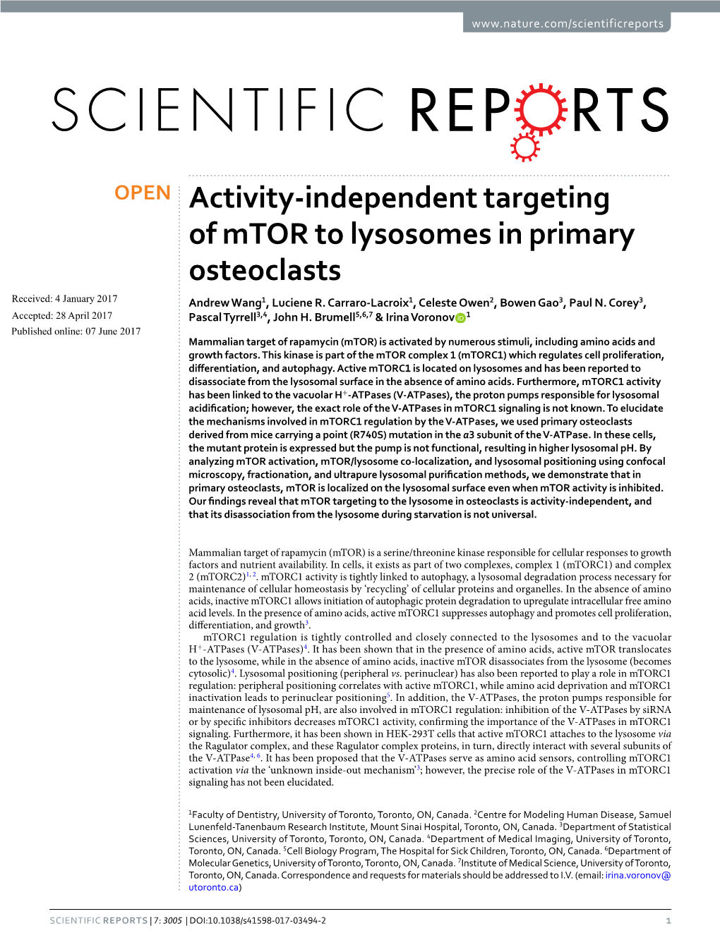 Activity-Independent Targeting of Mtor to Lysosomes in Primary Osteoclasts Received: 4 January 2017 Andrew Wang1, Luciene R