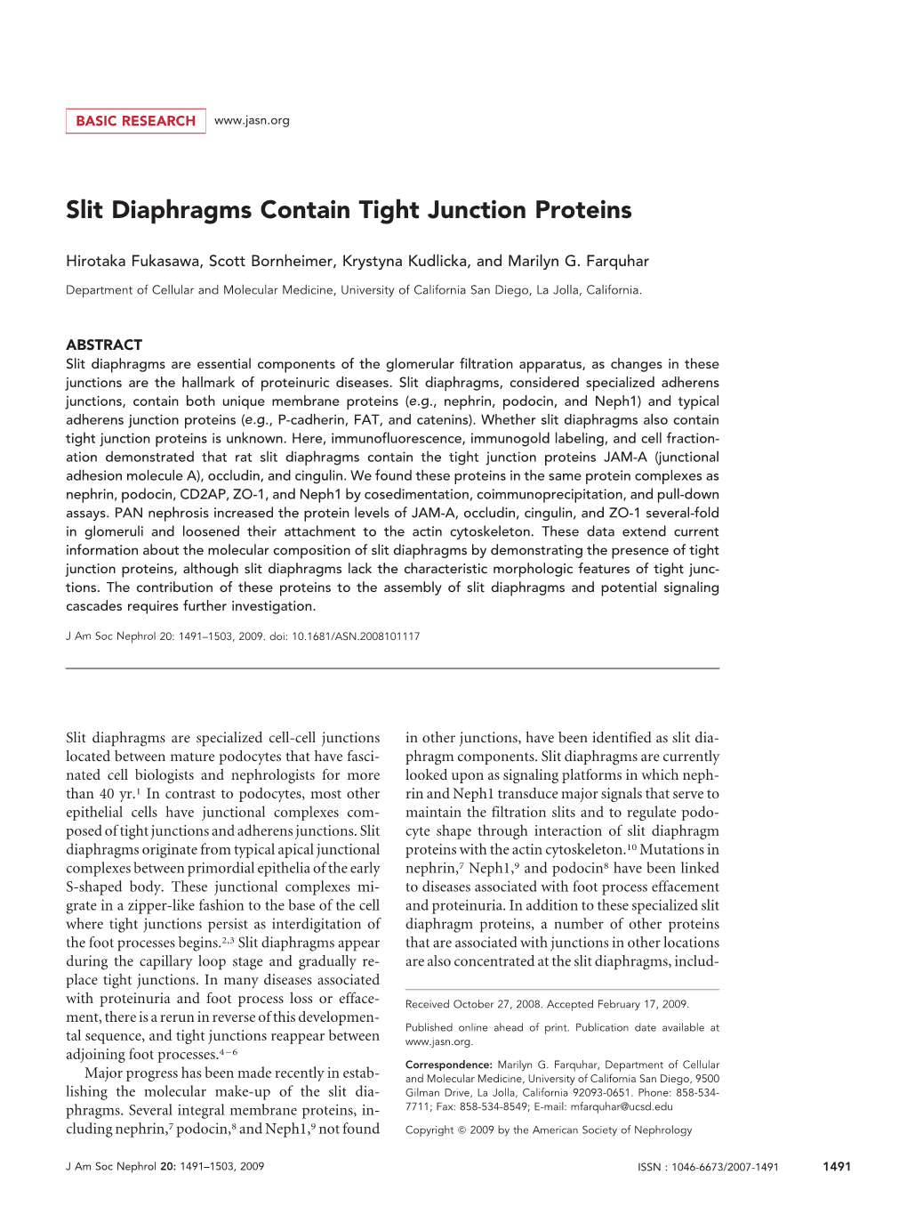 Slit Diaphragms Contain Tight Junction Proteins