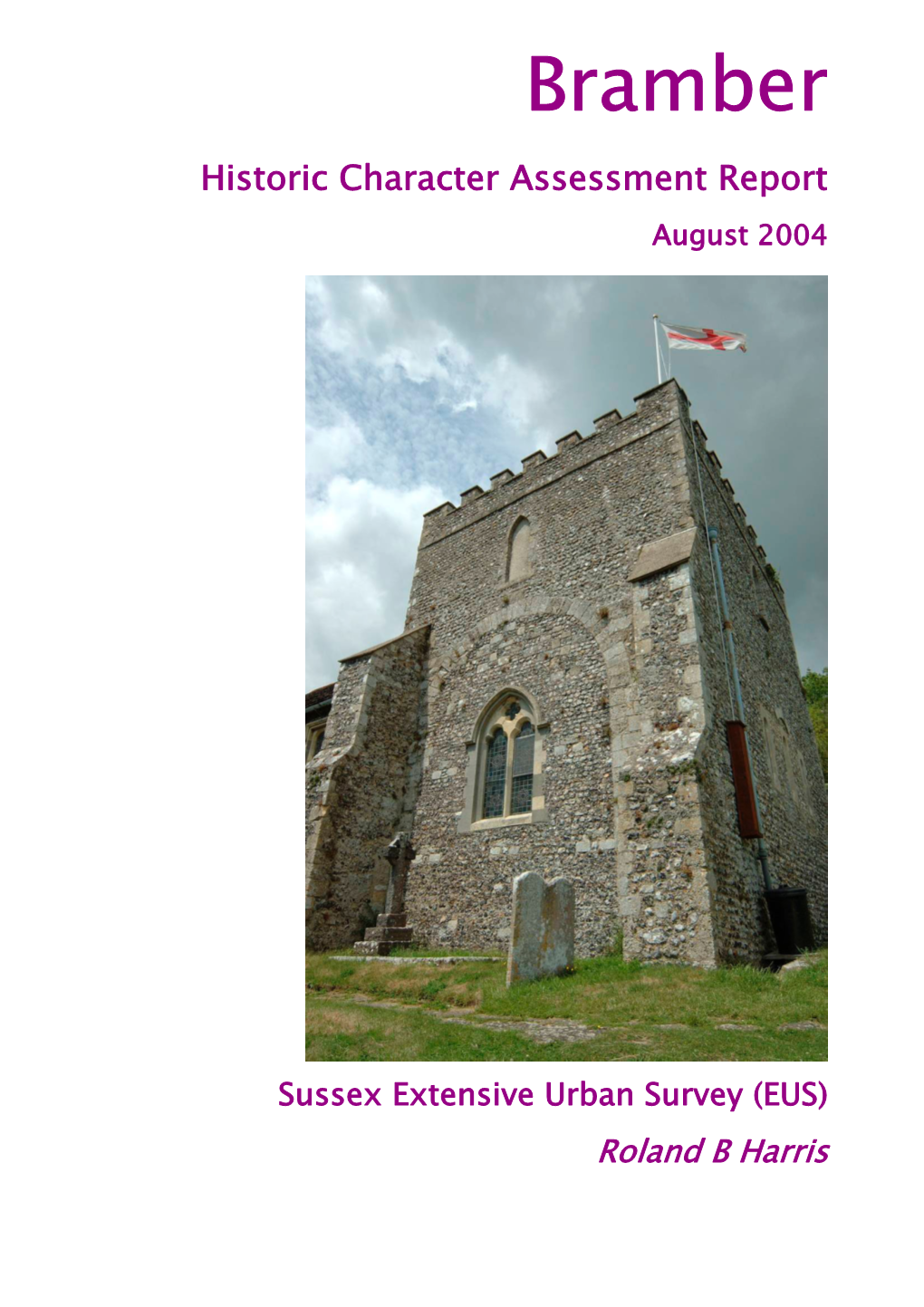 Bramber EUS Report Revised