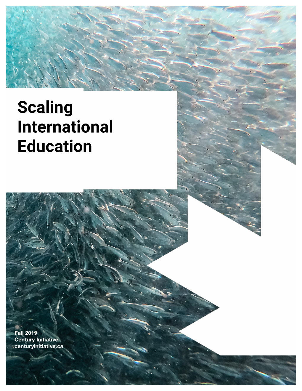 Scaling International Education