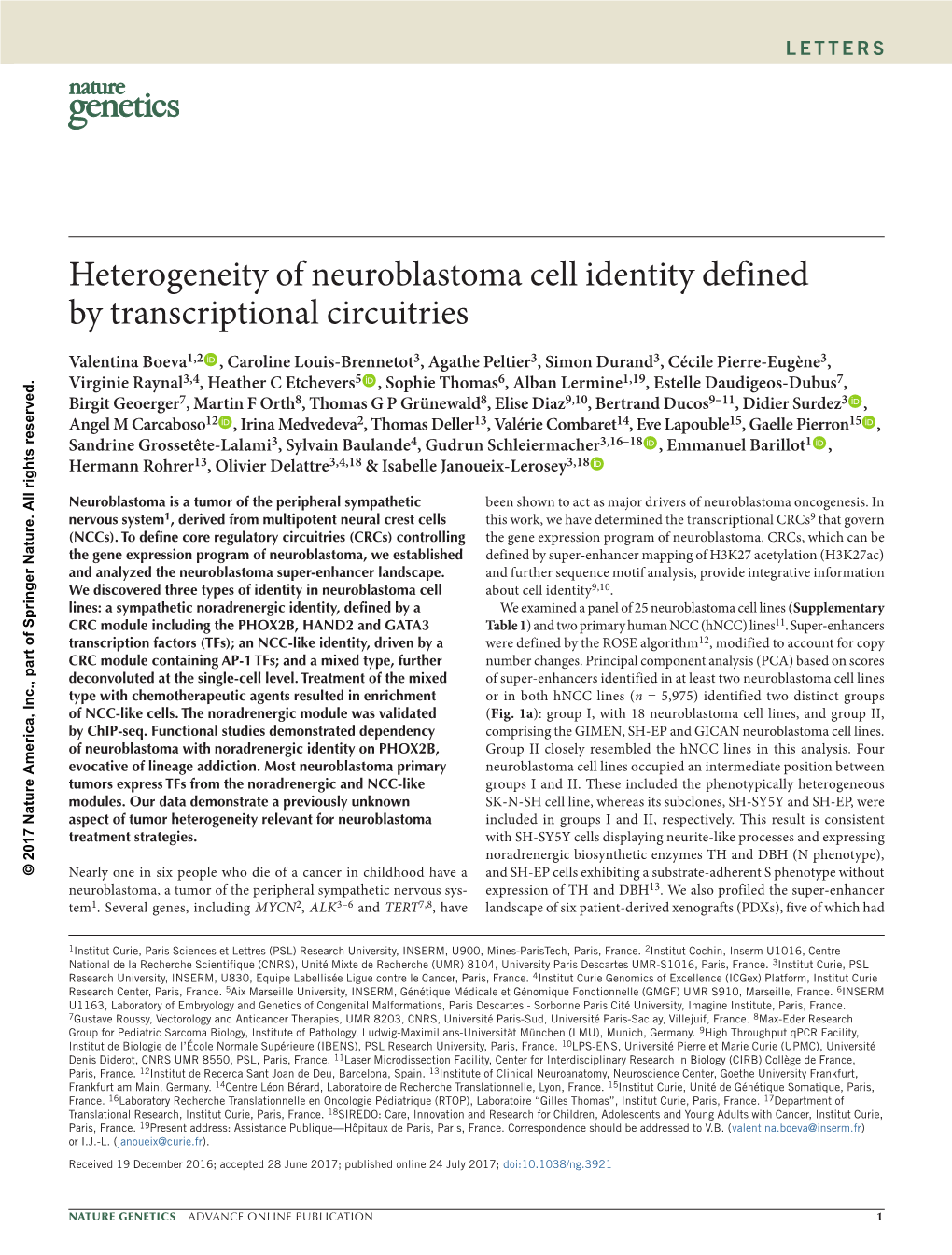 Heterogeneity of Neuroblastoma Cell Identity Defined by Transcriptional