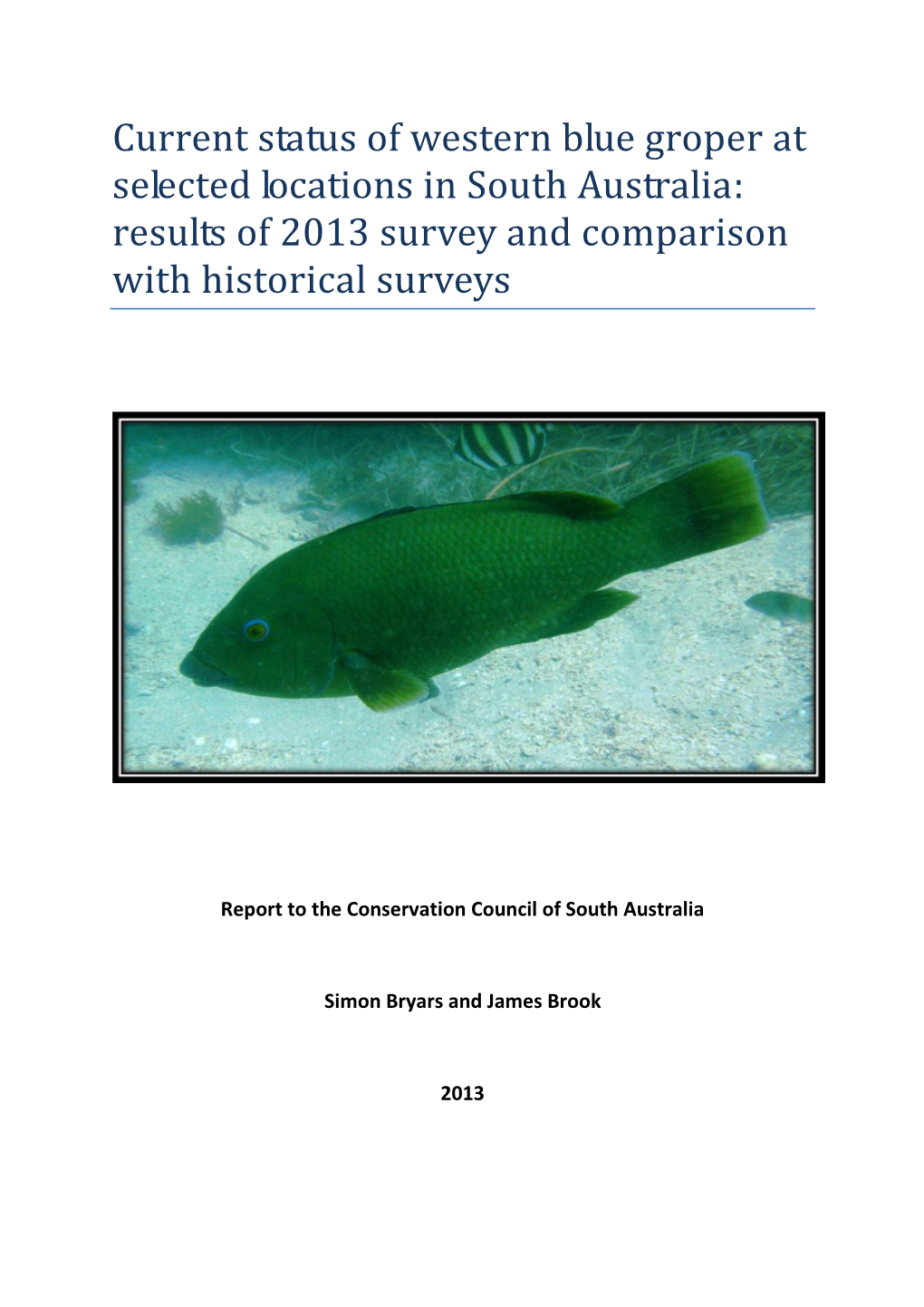 Current Status of Western Blue Groper at Selected Locations in South Australia: Results of 2013 Survey and Comparison with Historical Surveys