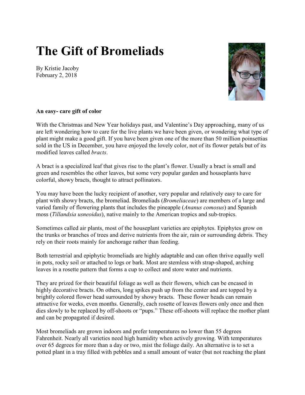 The Gift of Bromeliads