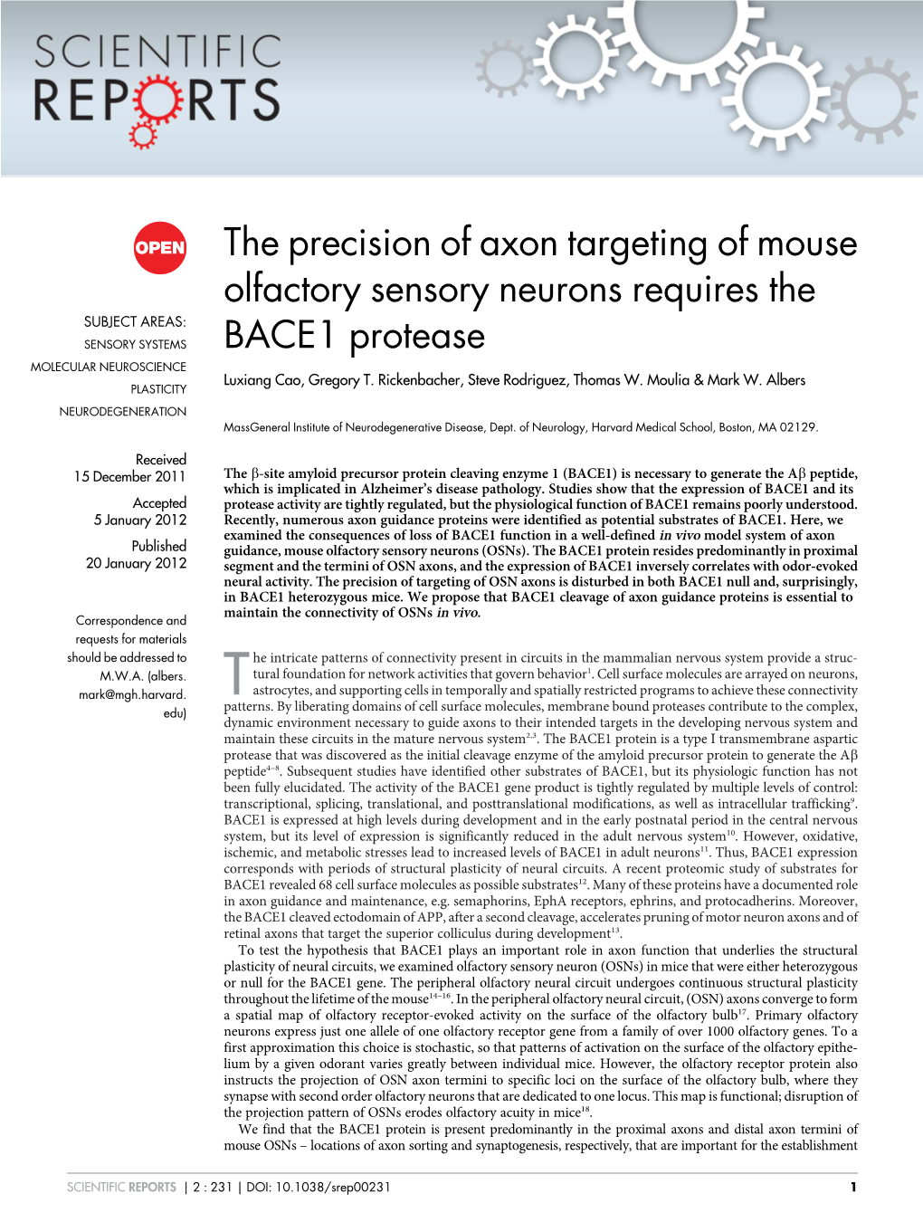 The Precision of Axon Targeting of Mouse Olfactory Sensory Neurons