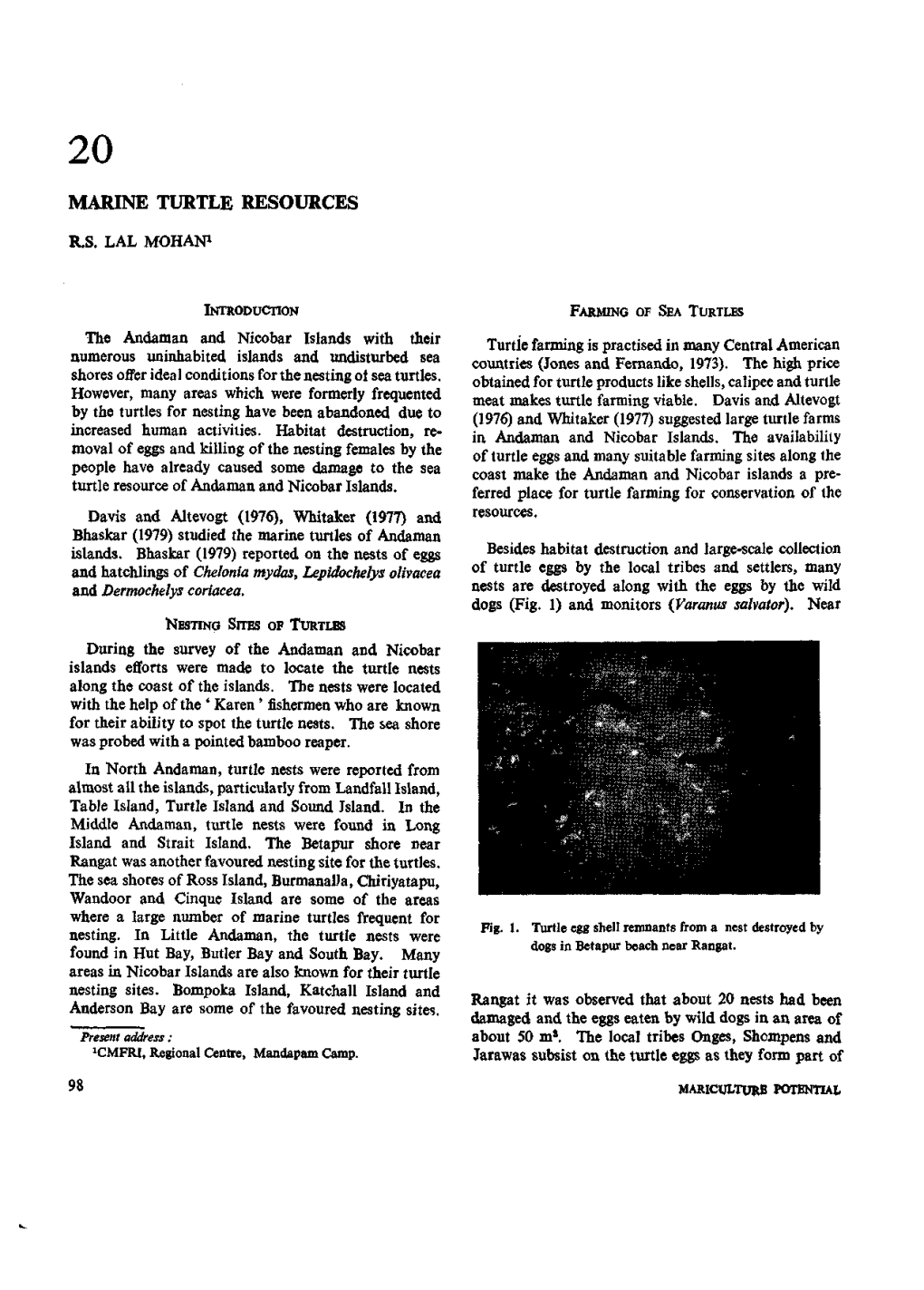 Mariculture Potential of Andaman and Nicobar Islands —An Indicative Survey