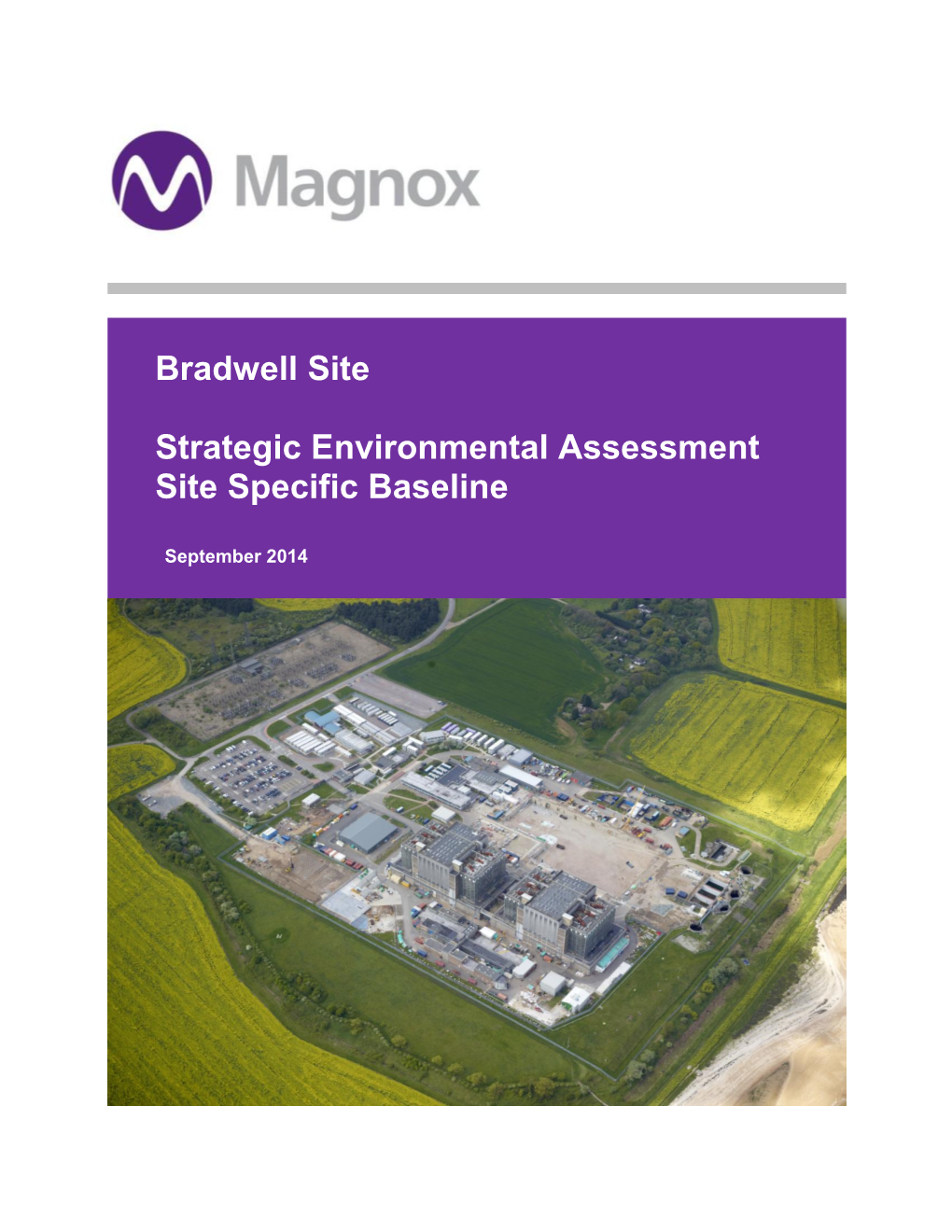 Bradwell Site Strategic Environmental Assessment