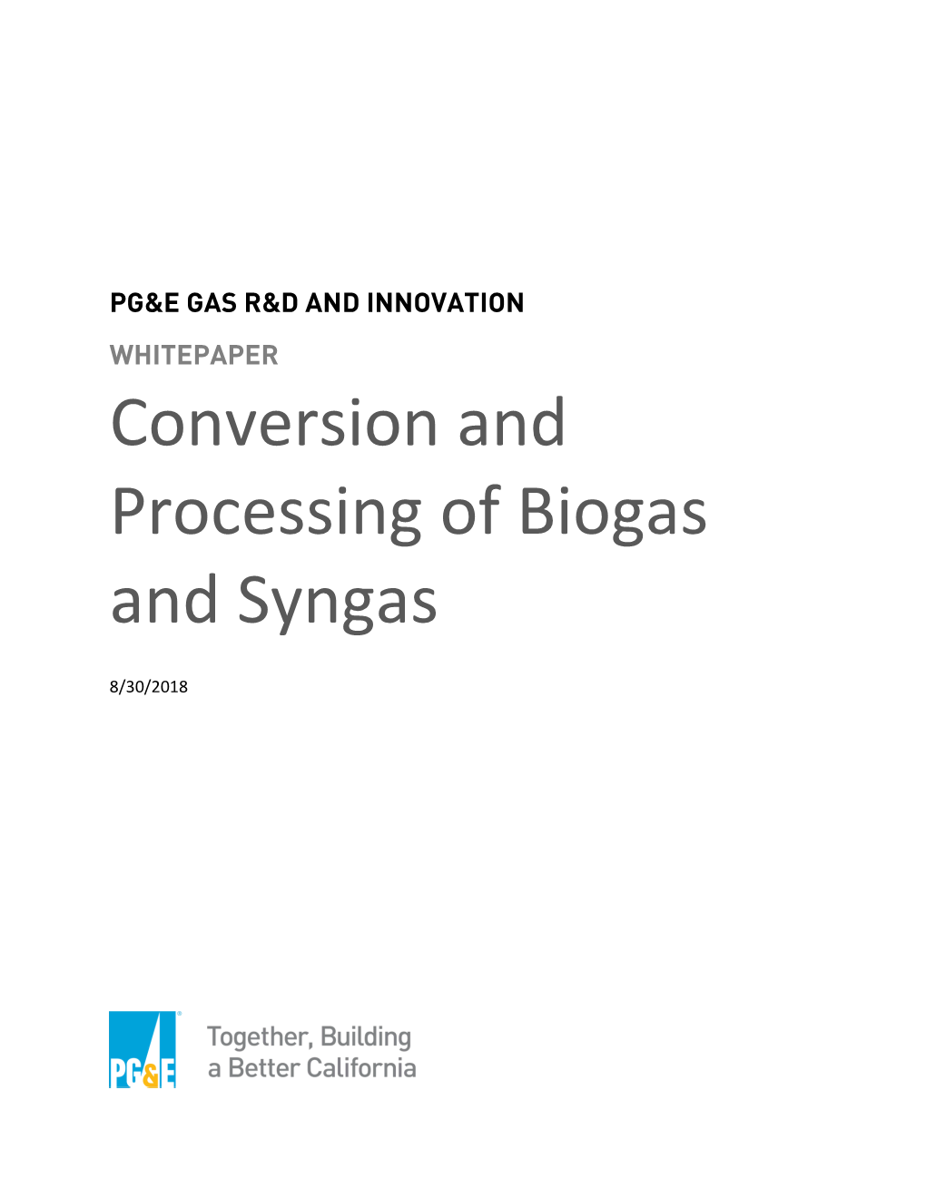 Conversion and Processing of Biogas and Syngas