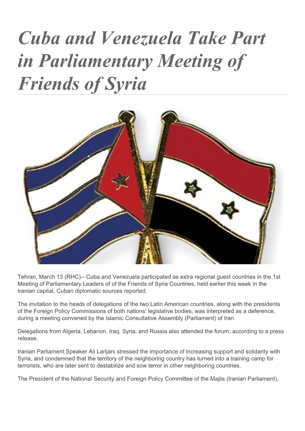 Cuba and Venezuela Take Part in Parliamentary Meeting of Friends of Syria