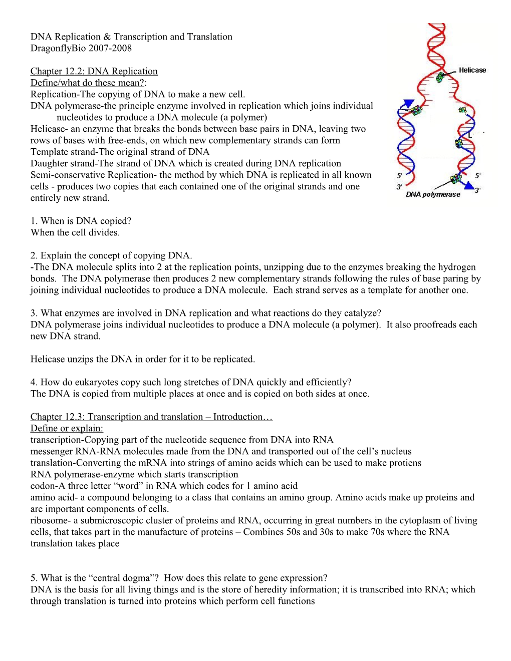 Replication-The Copying of DNA to Make a New Cell