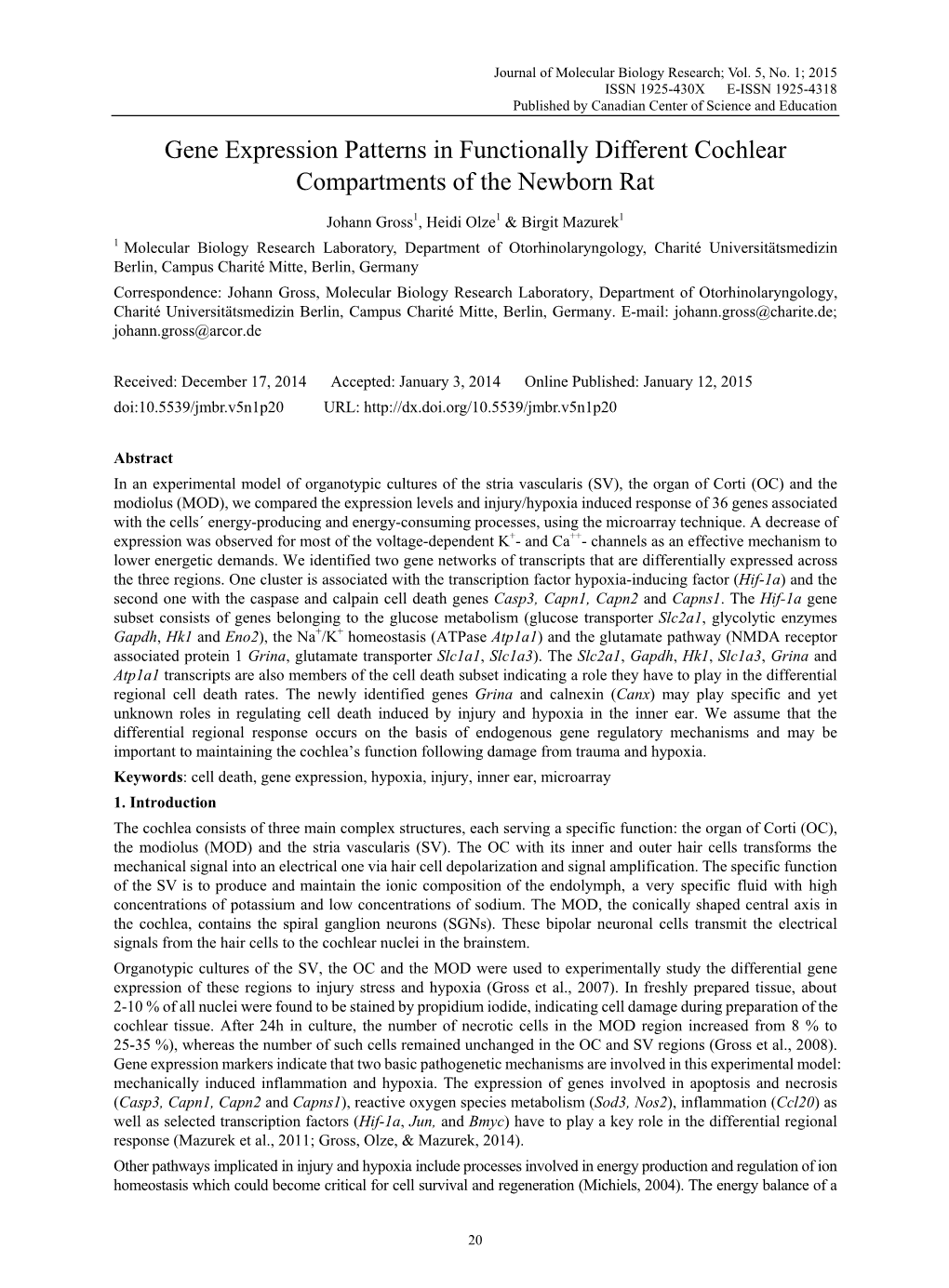 Gene Expression Patterns in Functionally Different Cochlear Compartments of the Newborn Rat