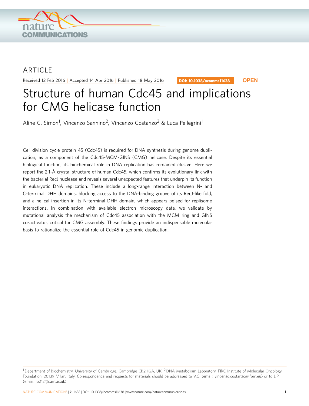 Structure of Human Cdc45 and Implications for CMG Helicase Function