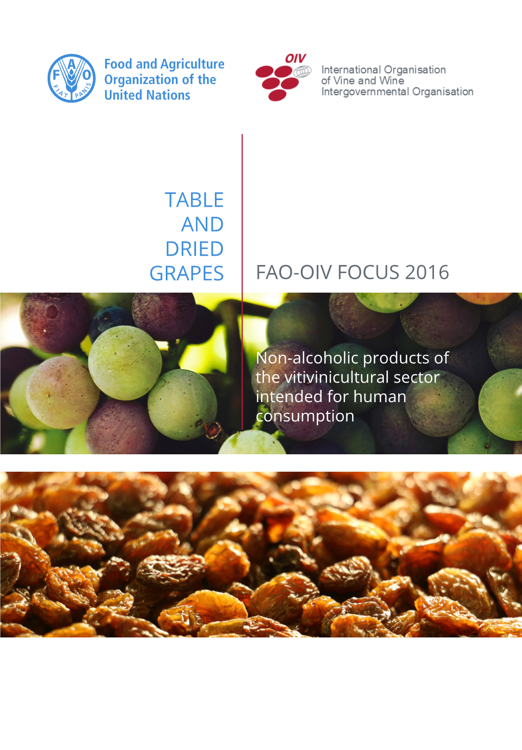 Table and Dried Grapes Fao-Oiv Focus 2016