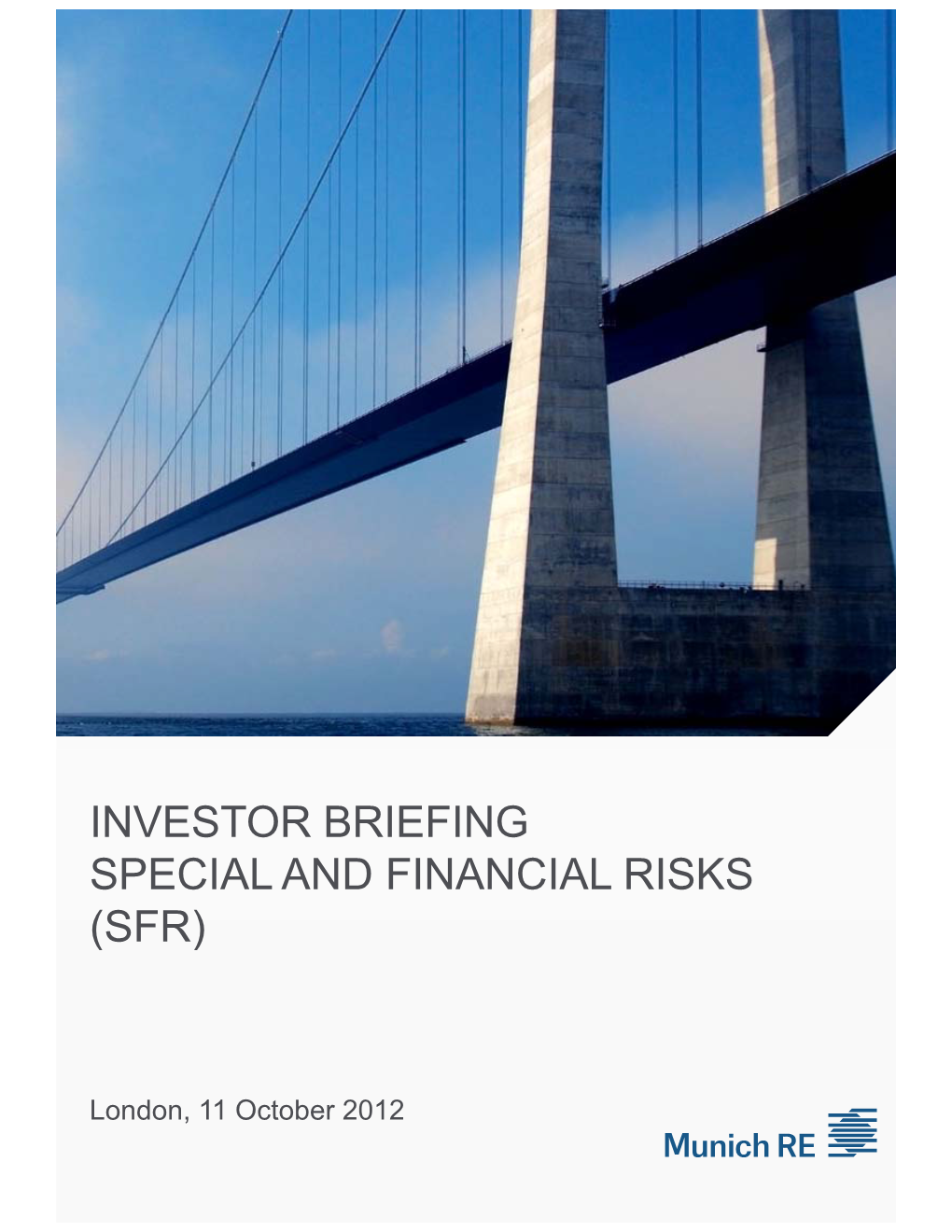 Investor Briefing Special and Financial Risks (Sfr)