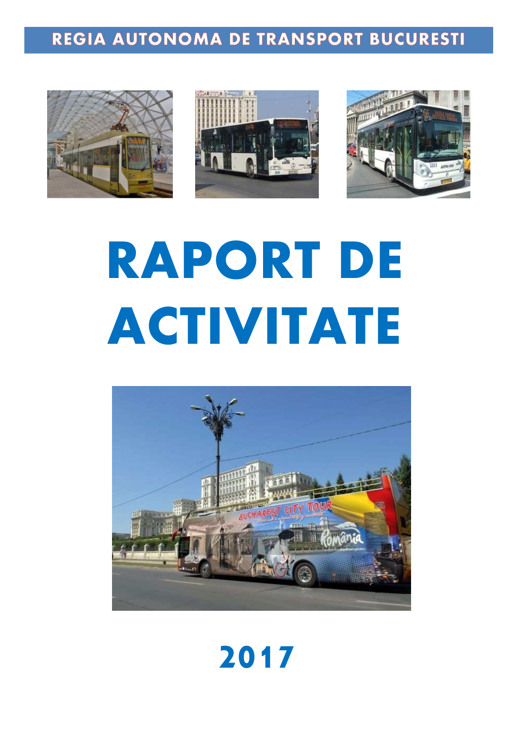 Raport De Activitate 2017