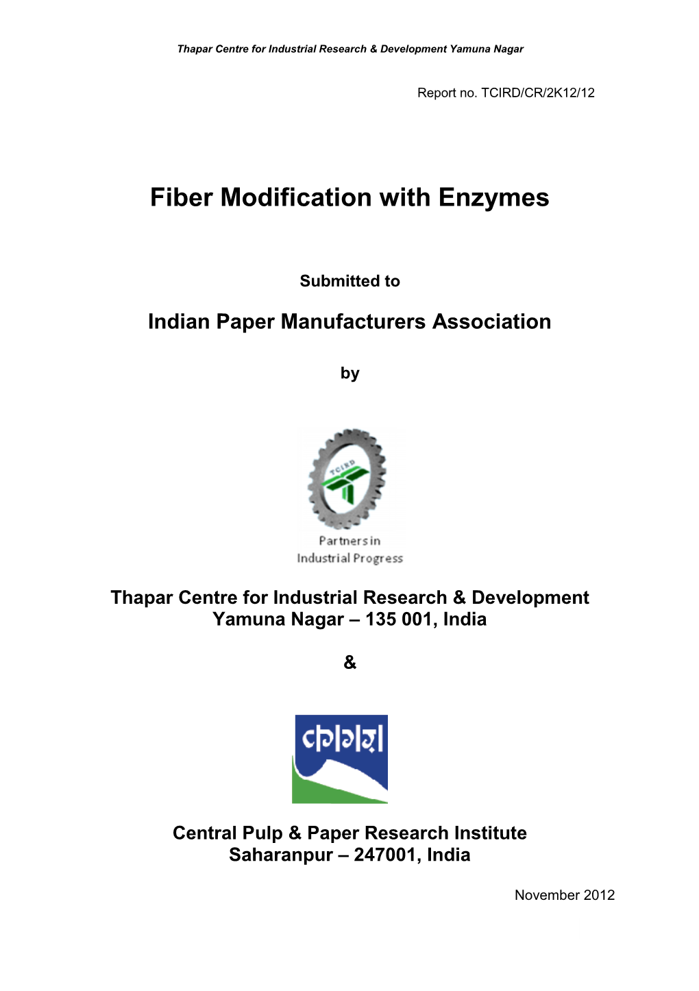 Fiber Modification with Enzymes