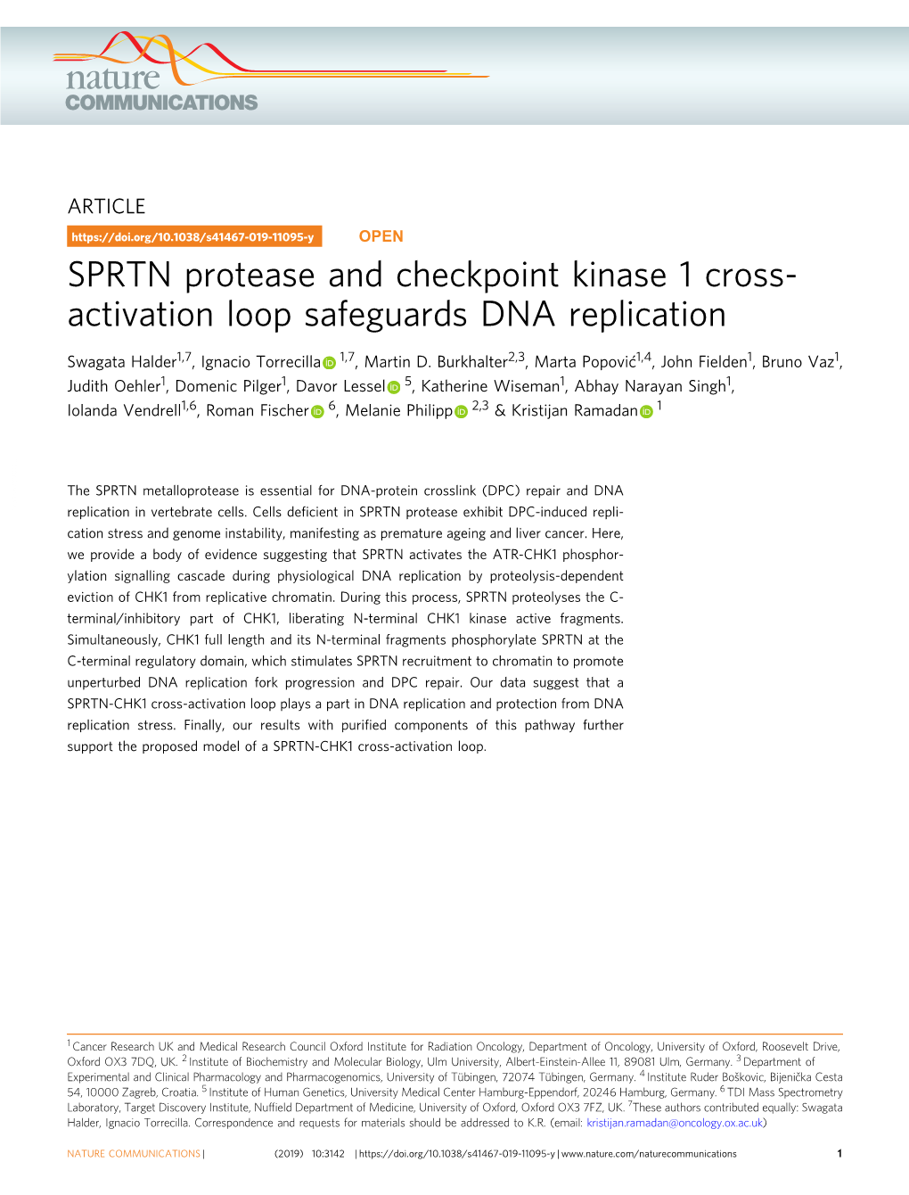 SPRTN Protease and Checkpoint Kinase 1 Cross-Activation Loop Safeguards DNA Replication