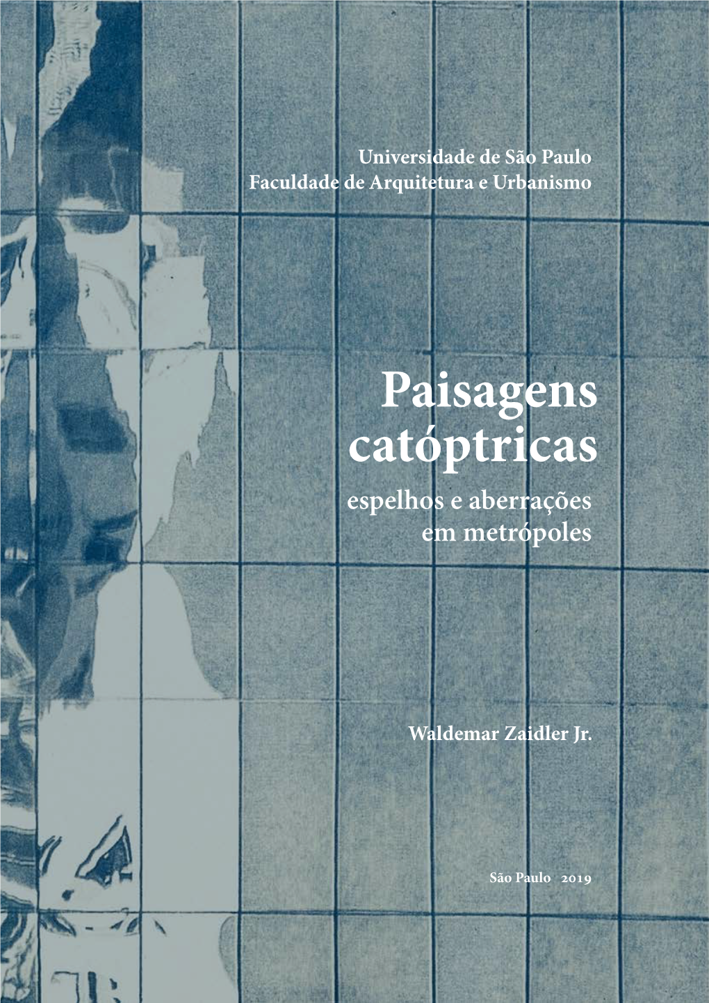 Paisagens Catóptricas Espelhos E Aberrações Em Metrópoles