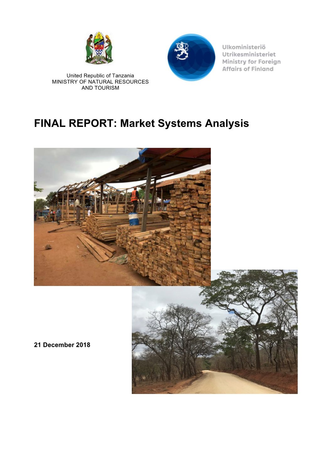 FINAL REPORT: Market Systems Analysis