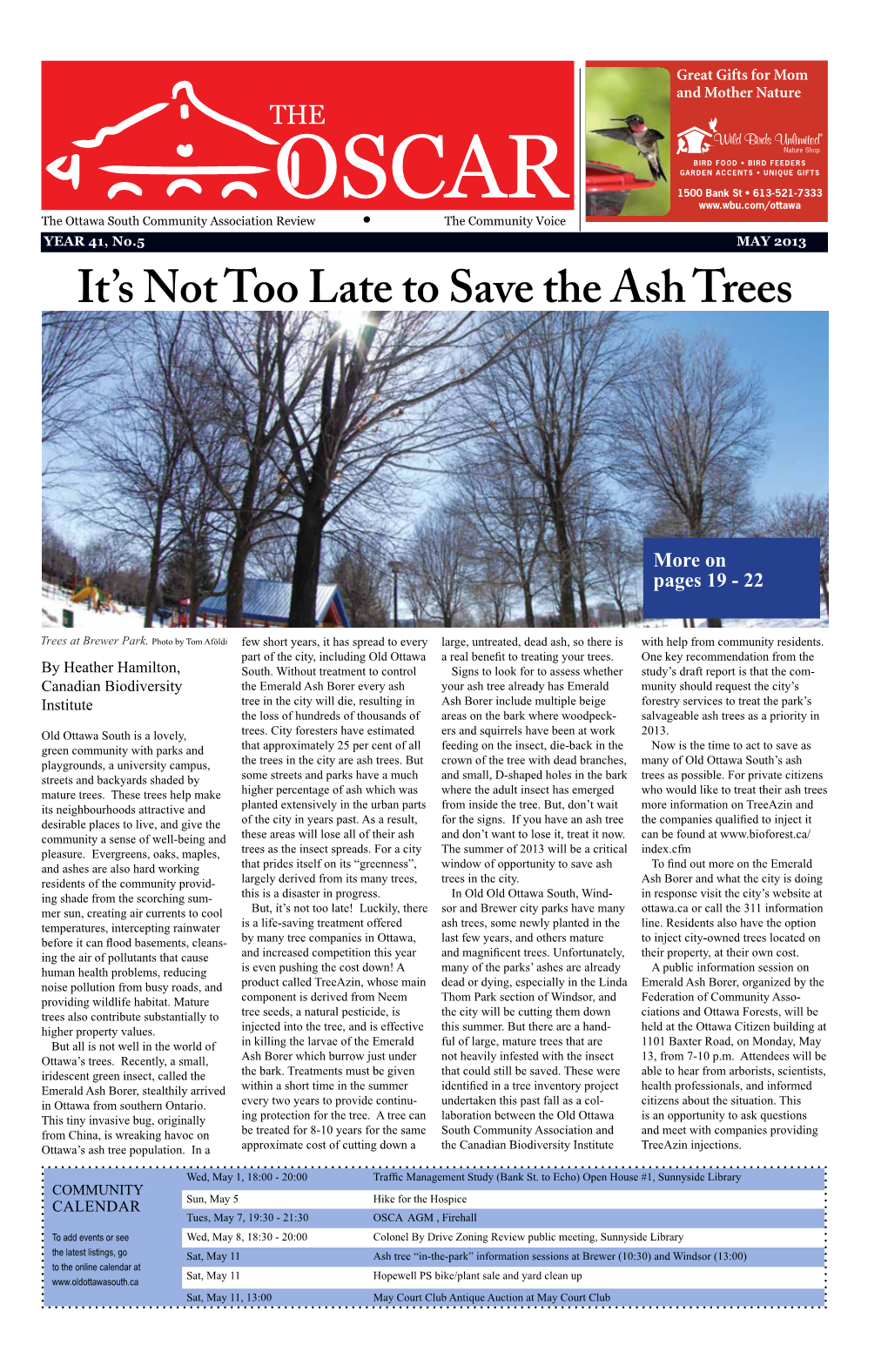 It's Not Too Late to Save the Ash Trees