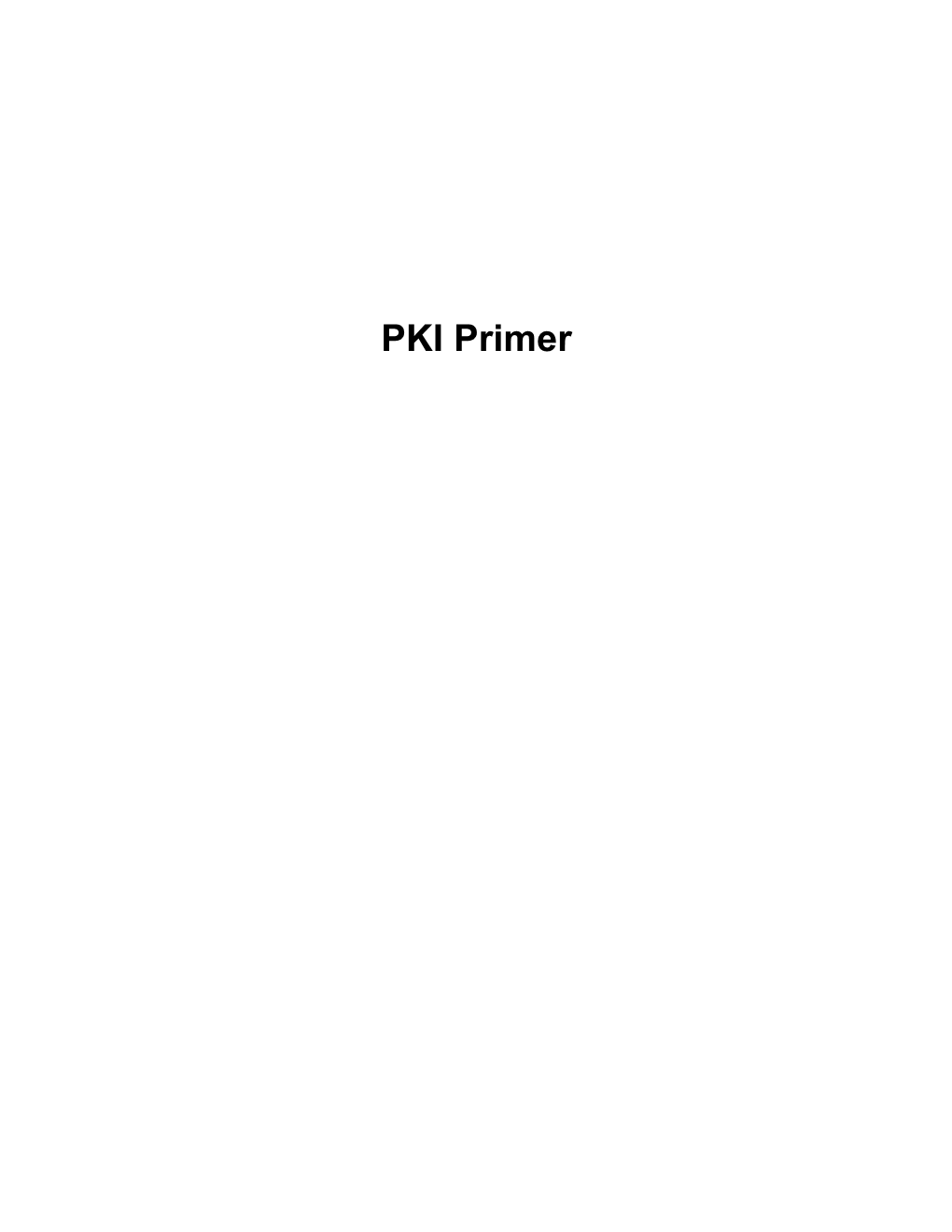 PKI Primer E-Government and Security Issues (By Permission from Itssimple.Biz)