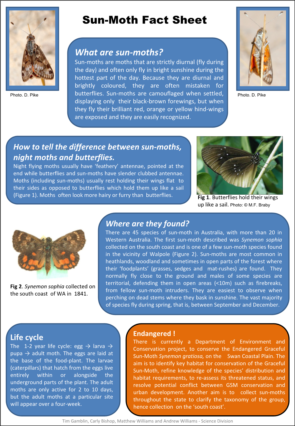 Sun-Moth Fact Sheet