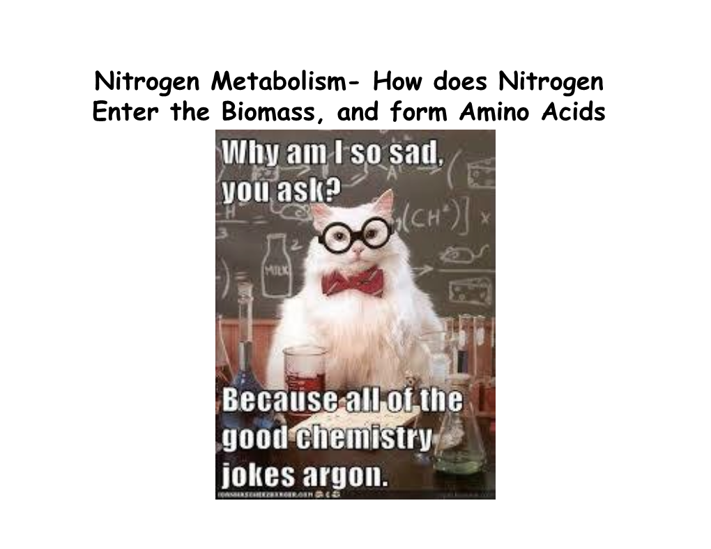 How Does Nitrogen Enter the Biomass, and Form Amino Acids Overview of the Flow of Nitrogen in the Biosphere