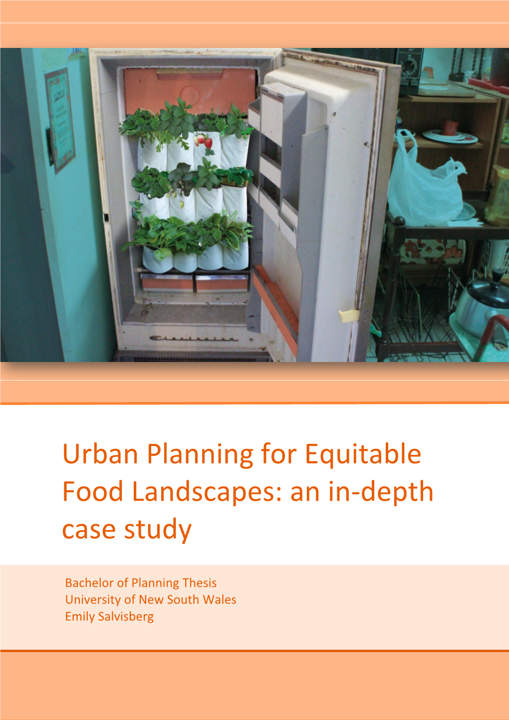 Urban Planning for Equitable Food Landscapes: an In-Depth Case Study