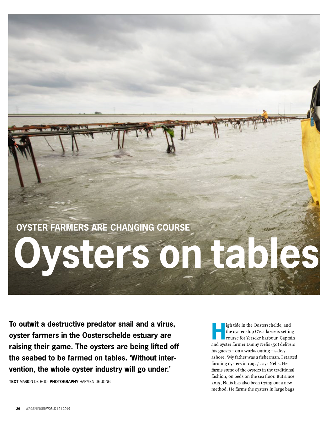 OYSTER FARMERS ARE CHANGING COURSE Oysters on Tables