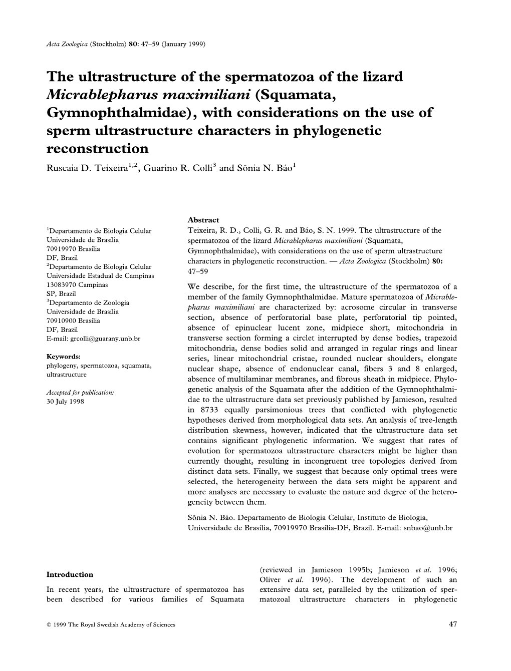 The Ultrastructure of the Spermatozoa of the Lizard Micrablepharus