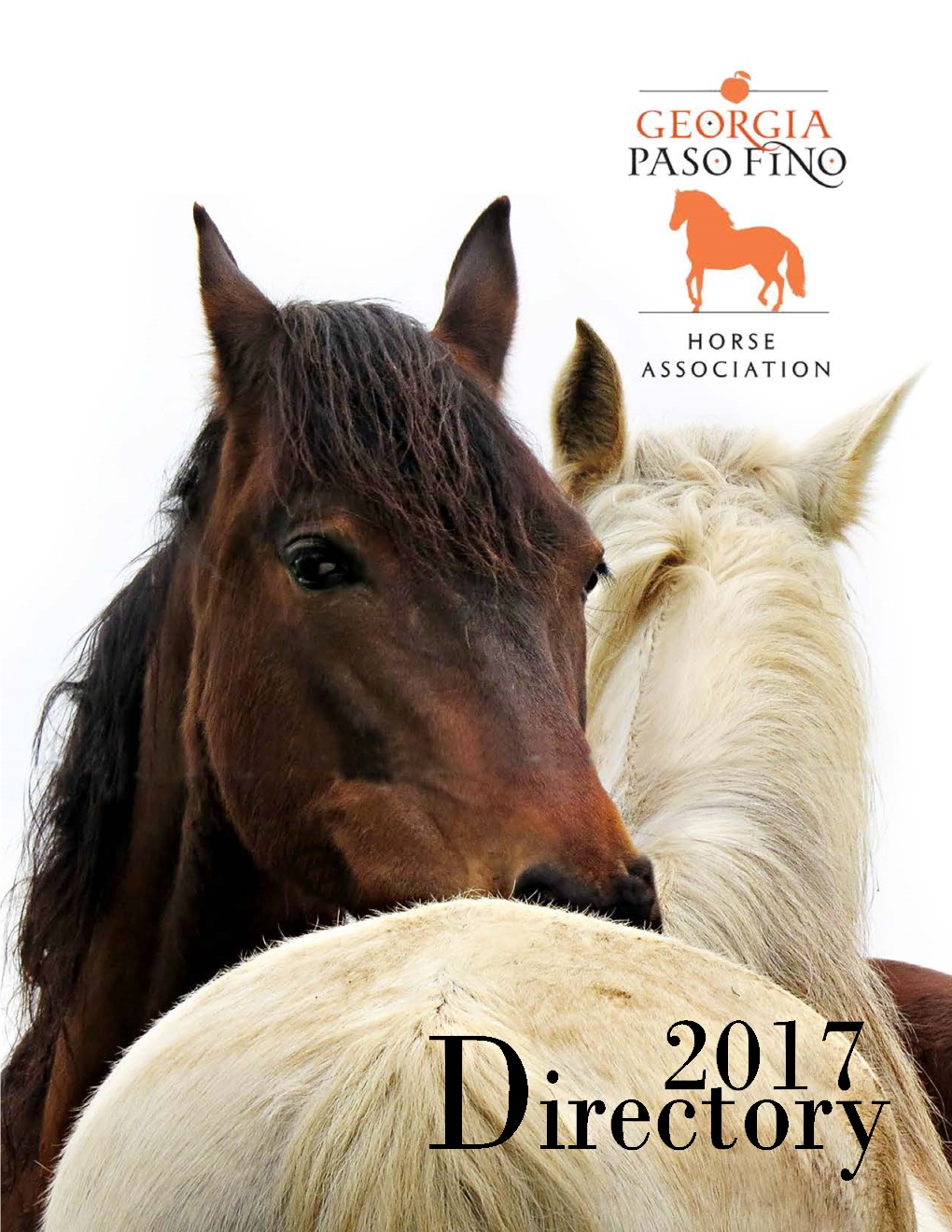 Anyone Who Rides Paso Fino Horses Has Experienced the Greatest