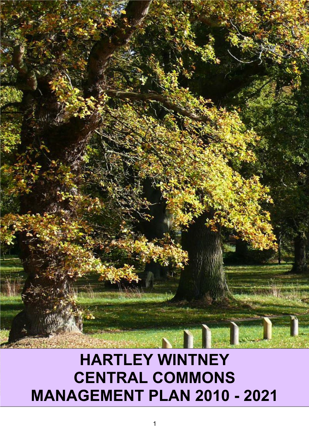 Hartley Wintney Central Commons Management Plan 2010 - 2021