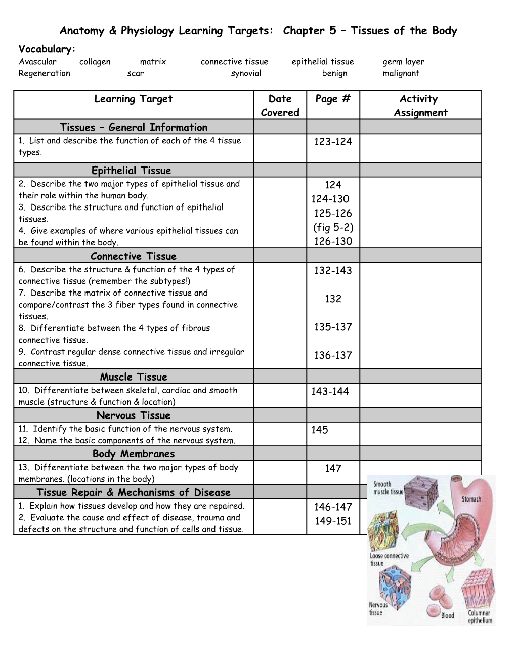 Anatomy & Physiology Learning Targets: Chapter 5 Tissues of the Body