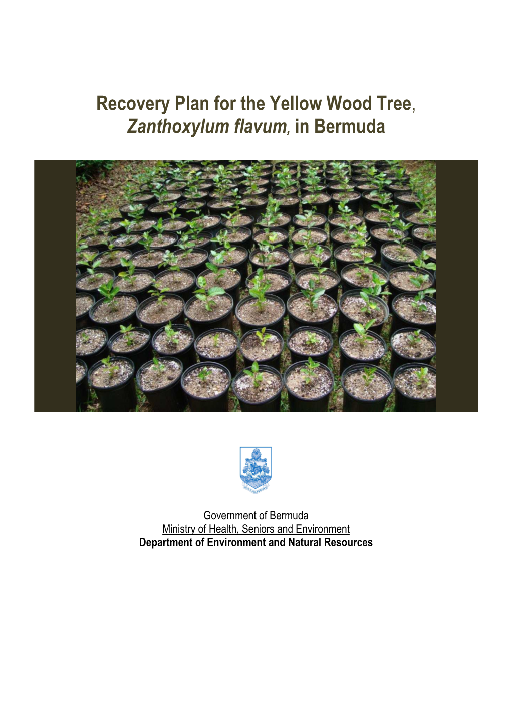 Recovery Plan for the Yellow Wood Tree , Zanthoxylum Flavum, in Bermuda