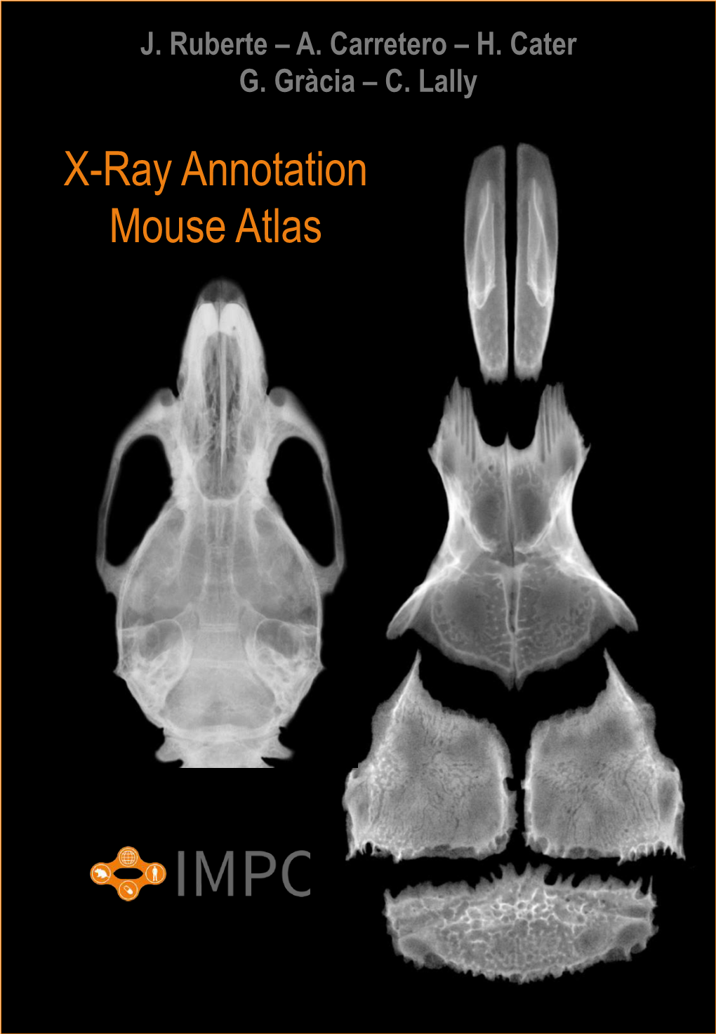 X-Ray Annotation Mouse Atlas This Publication Is Under a Creative Commons License