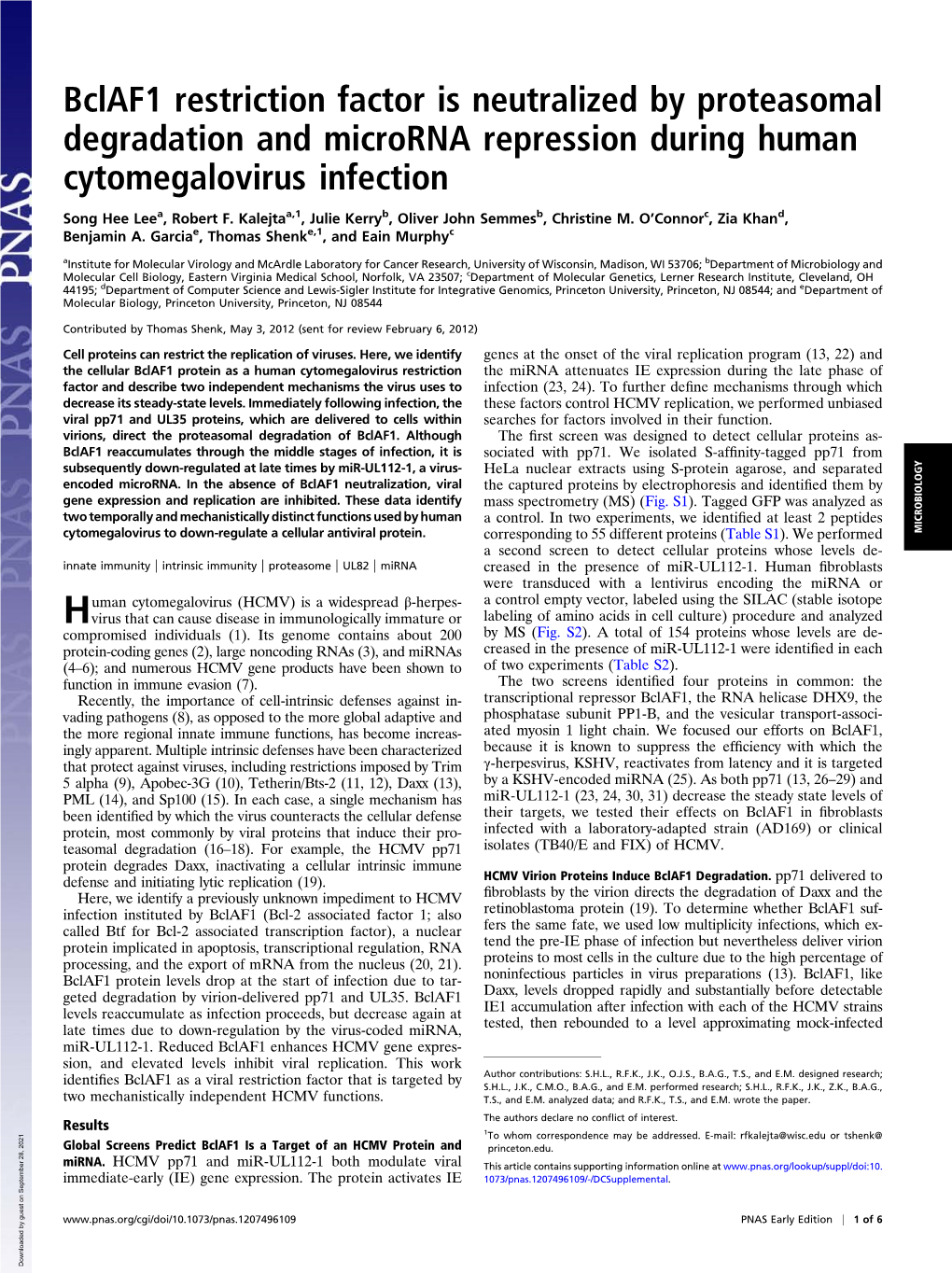 Bclaf1 Restriction Factor Is Neutralized by Proteasomal Degradation and Microrna Repression During Human Cytomegalovirus Infection