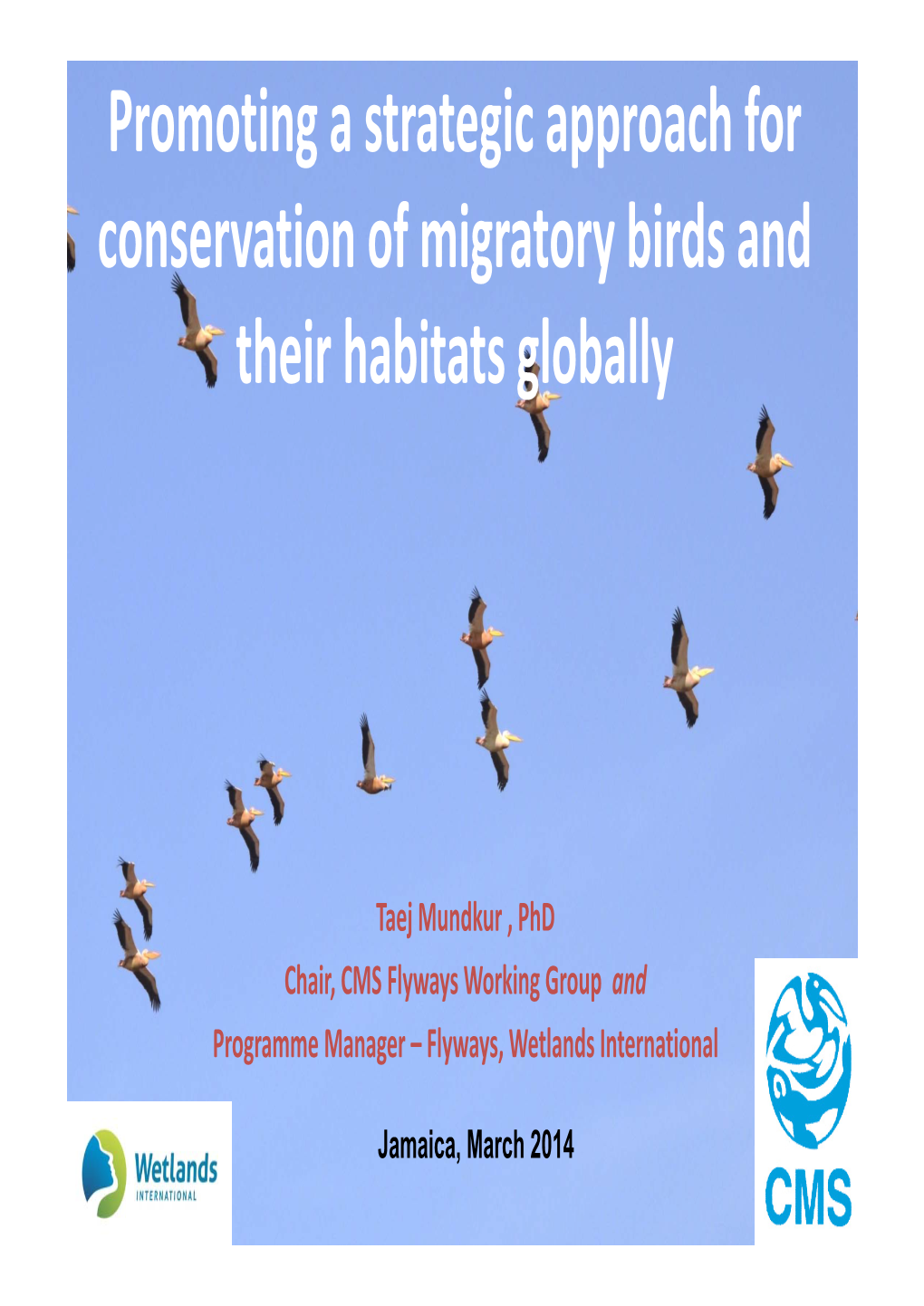 Central Asian Flyway Action Plan