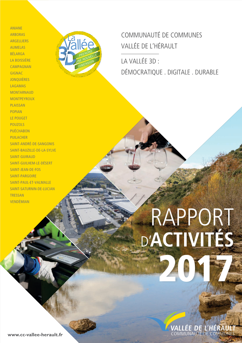 Rapport D’Activités 2017