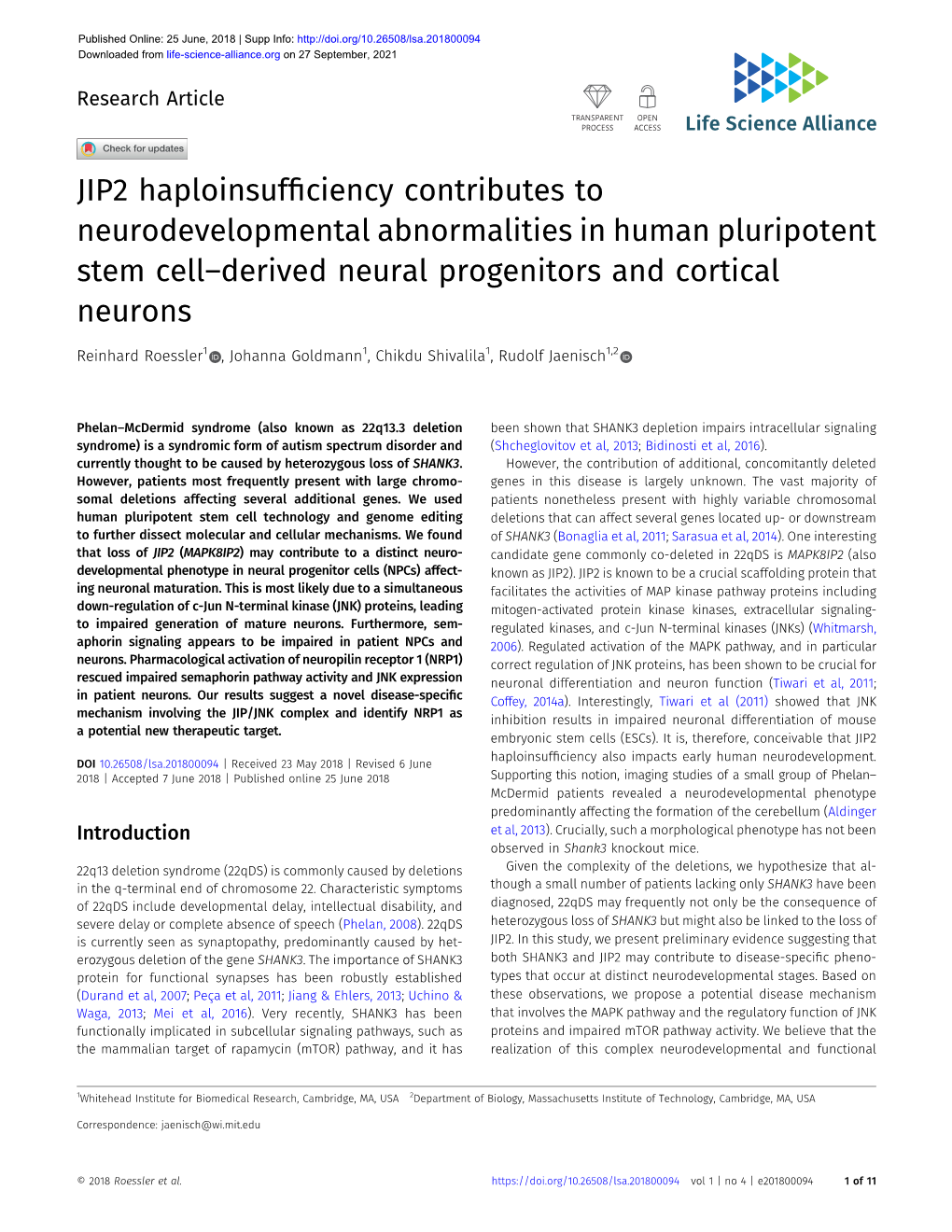 JIP2 Haploinsufficiency Contributes to Neurodevelopmental Abnormalities