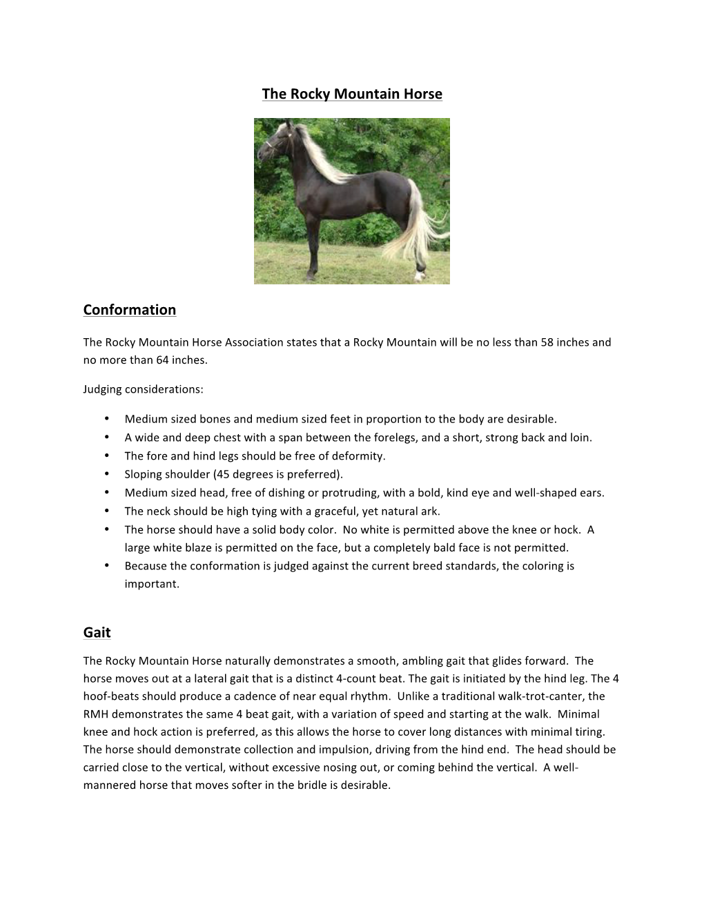 The Rocky Mountain Horse Conformation Gait