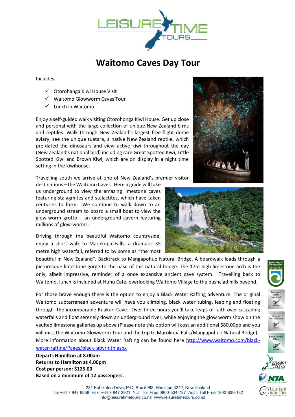 Waitomo Caves Day Tour