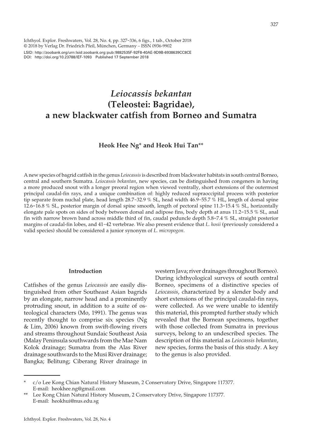 Leiocassis Bekantan (Teleostei: Bagridae), a New Blackwater Catfish from Borneo and Sumatra