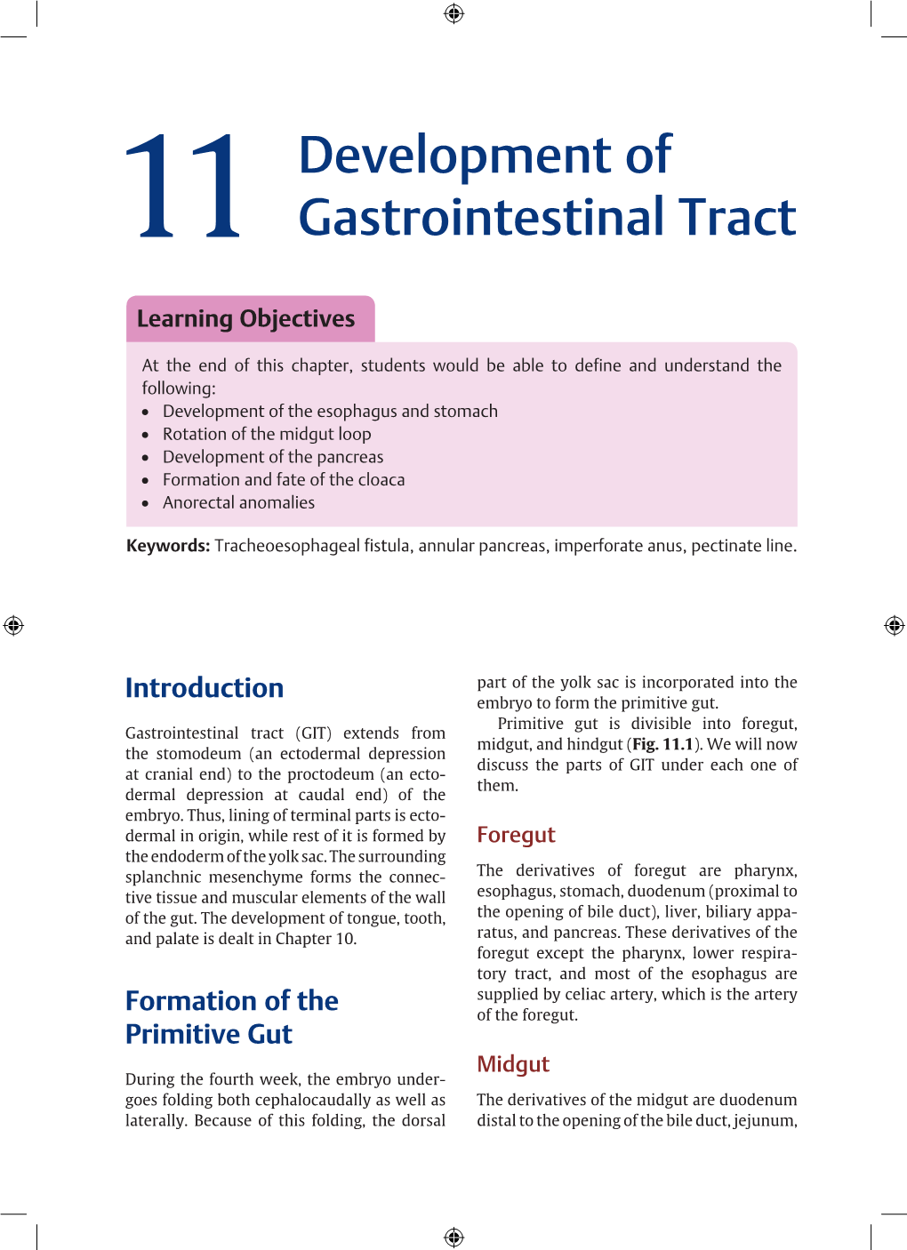 Development of Gastrointestinal Tract