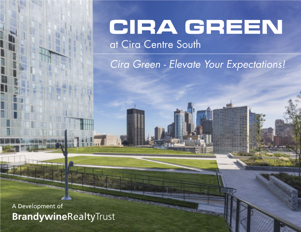 Cira Green - Elevate Your Expectations!