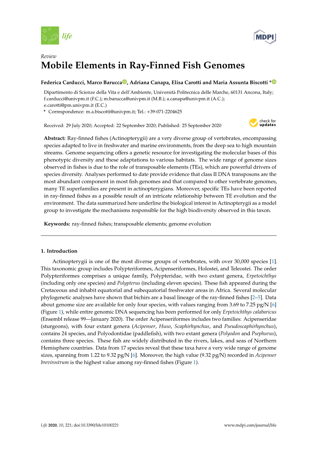 Mobile Elements in Ray-Finned Fish Genomes