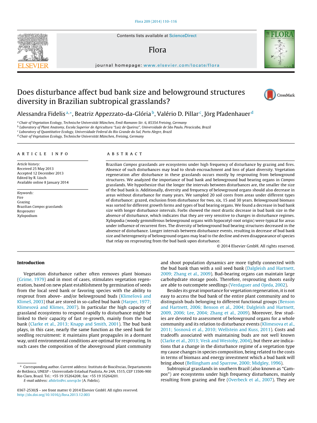 Does Disturbance Affect Bud Bank Size and Belowground Structures Diversity in Brazilian Subtropical Grasslands?