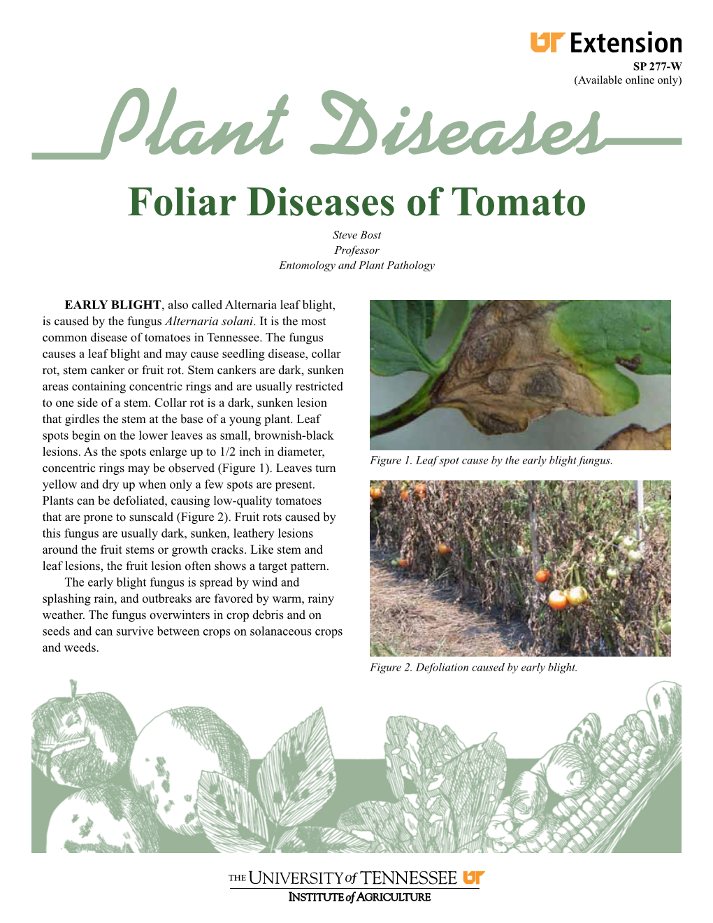 Foliar Diseases of Tomato Steve Bost Professor Entomology and Plant Pathology