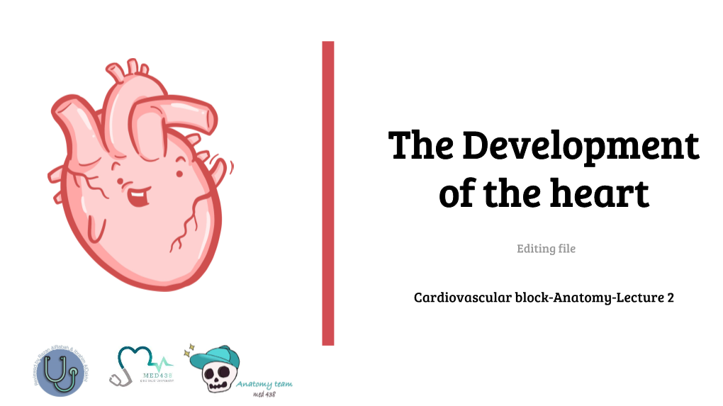 The Development of the Heart