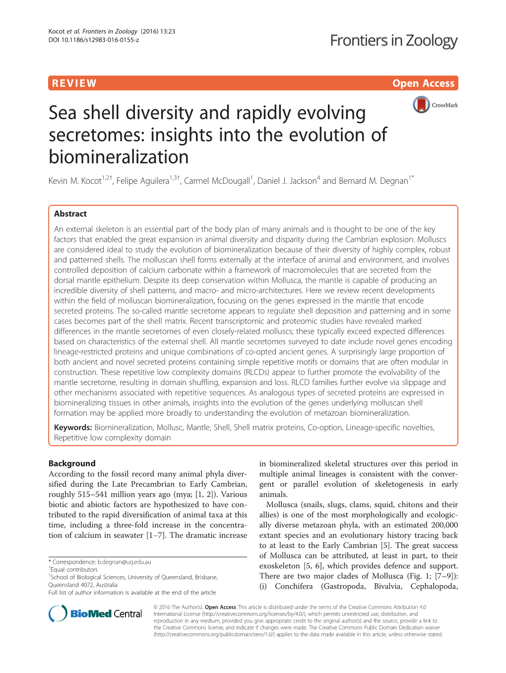 Sea Shell Diversity and Rapidly Evolving Secretomes: Insights Into the Evolution of Biomineralization Kevin M