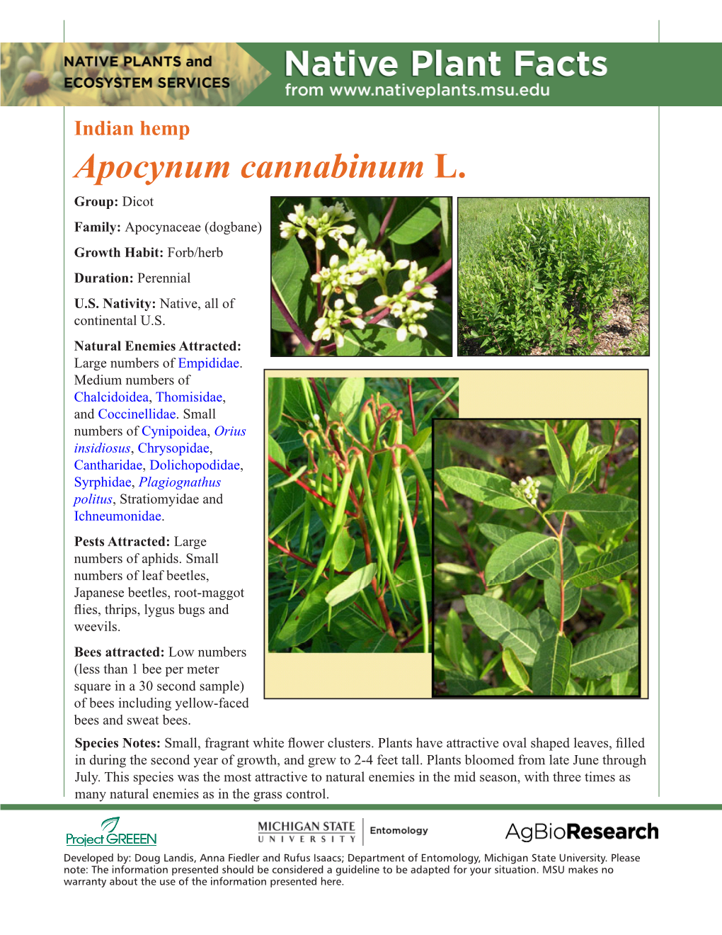 Indian Hemp Apocynum Cannabinum L. Group: Dicot Family: Apocynaceae (Dogbane) Growth Habit: Forb/Herb Duration: Perennial U.S