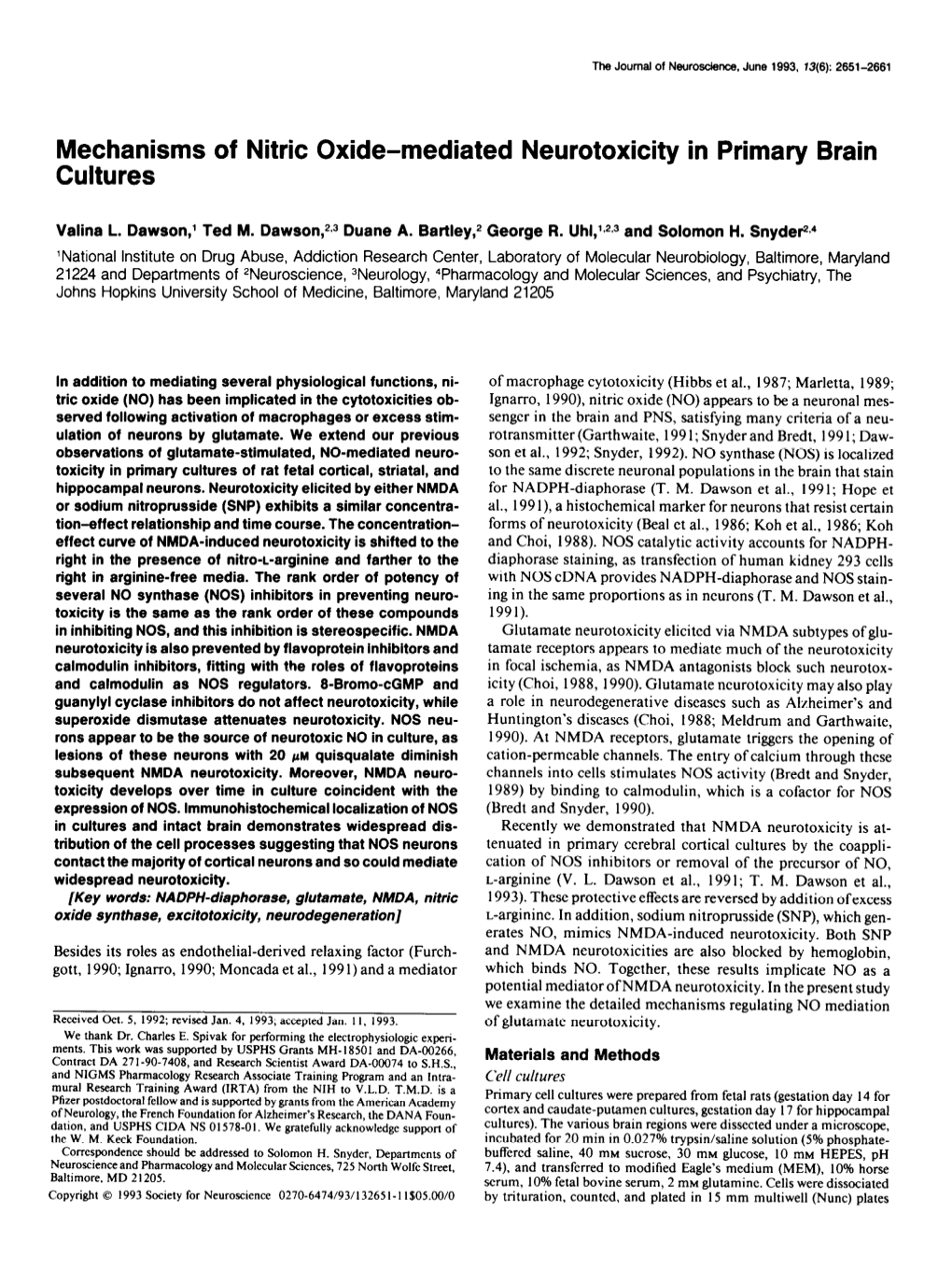 Mechanisms of Nitric Oxide-Mediated Neurotoxicity in Primary Brain Cultures